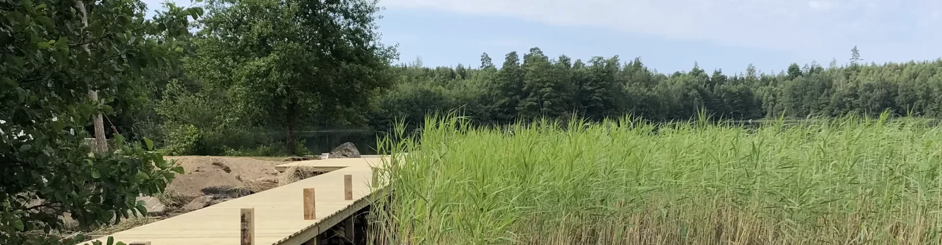 Rust nemen in een natuurlijke omgeving  helpt bij herstel van een burn-out